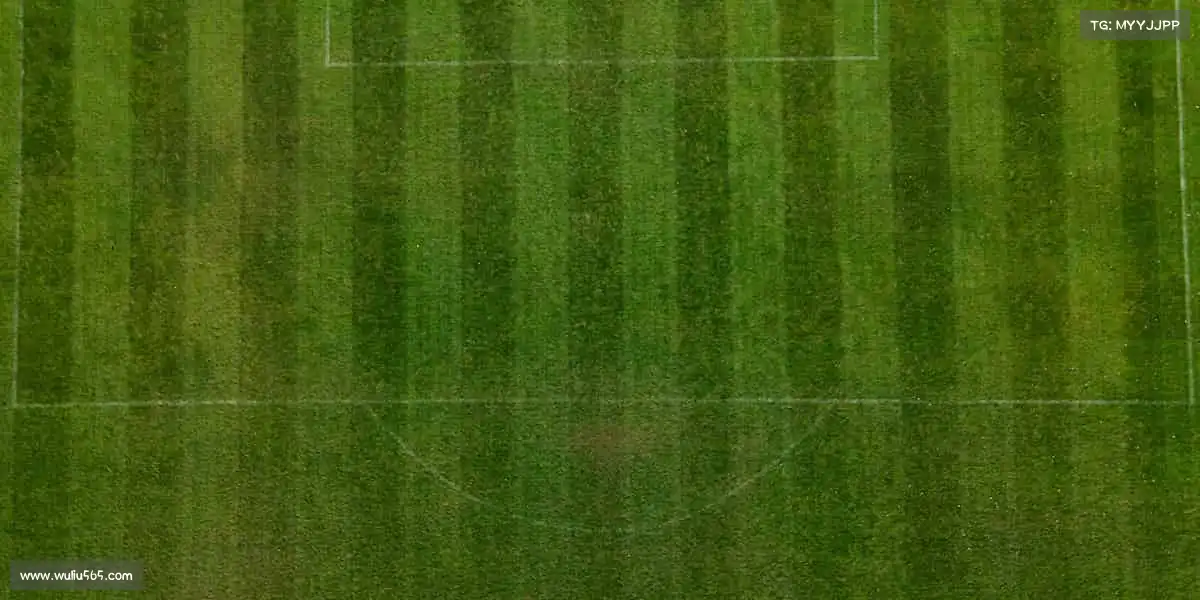 j9九游真人游戏第一品牌——燃烧运动热血，激活无限可能！🏃‍♂️